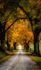 Scenic autumn lane featuring vibrant fall foliage picturesque rural road and a tranquil countryside scene capturing