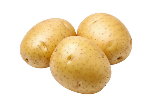 Three fresh yellow potatoes with brown spots on tuber root