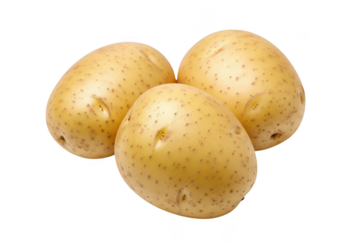Three fresh yellow potatoes with brown spots on tuber root