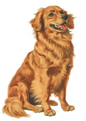 Cute dog illustration vintage animal.