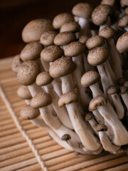 fresh brown shimeji mushroom or beech mushroom.