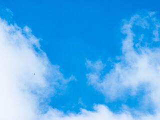 Fototapeta premium Blue sky with clouds background texture. Sky scape.