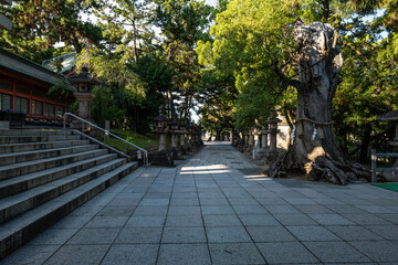 日本、大阪、住吉大社、神社、青空、木、緑、夏、木造の建物、鳥居、橋、写真素材