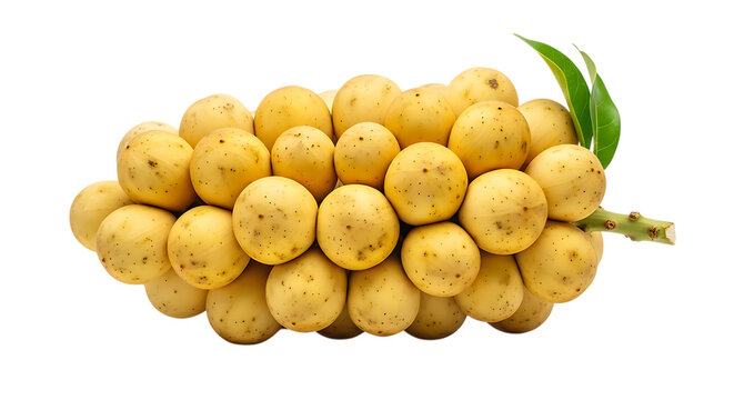 Cluster of ripe yellow langsat fruit with green leaves isolated on transparent background