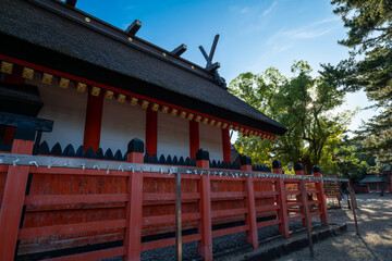 Obraz premium 日本、大阪、住吉大社、神社、青空、木、緑、夏、木造の建物、鳥居、橋、写真素材