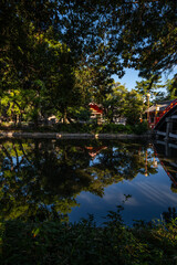 日本、大阪、住吉大社、神社、青空、木、緑、夏、木造の建物、鳥居、橋、写真素材