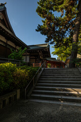 日本、大阪、住吉大社、神社、青空、木、緑、夏、木造の建物、鳥居、橋、写真素材