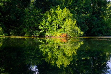 The  basses Godernes Sensitive Natural Area along the Seine river in Île-de-France Region