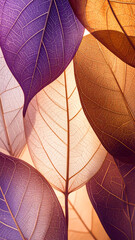 A close-up of translucent leaves in shades of purple and orange, creating a serene backdrop.
