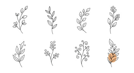 Delicate botanical hand drawn branch elements for elegant design projects and creative applications