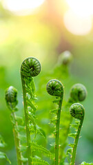 A close-up of young fern fronds unfurling in a lush green environment.
