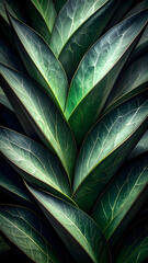 A close-up view of lush green leaves with intricate veins and textures.
