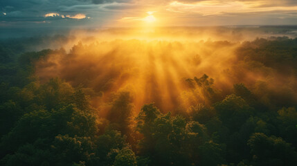 Obraz premium Sunrise over a misty forest. Light rays pierce through the fog creating a serene and ethereal scene.
