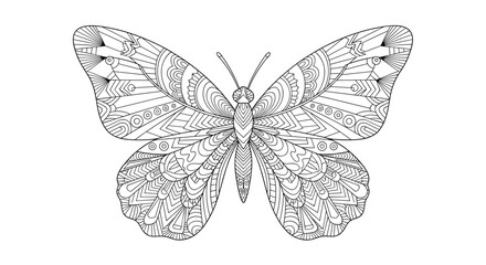 Intricate butterfly design vector art highly detailed artistic insect illustration for creative projects