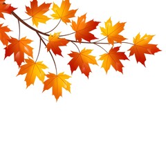 Realistic Vector Branch of a Maple Tree with Vibrant Red and Orange Autumnal Leaves