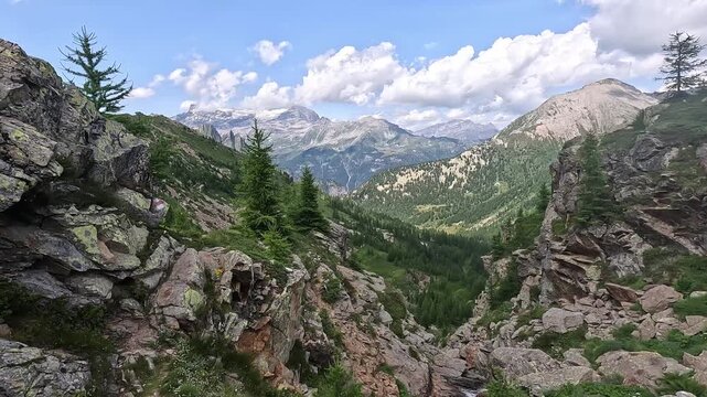 Wide alpine valley view with rocky terrain, pine trees, and distant snow-capped peaks in Alpe Devero Nature Park, Italy.