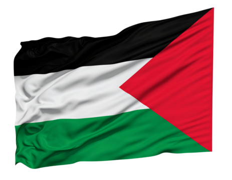 Waving Palestinian Flag with Triangular Red Chevron,  Side-Angled View, Isolated PNG.