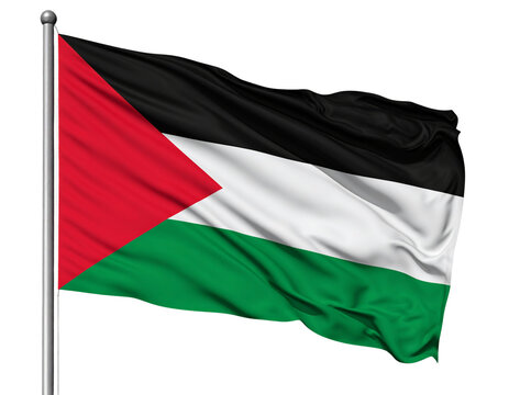 Waving Palestinian  Flag with Triangular Red Chevron, Side-Angled View, Isolated PNG.