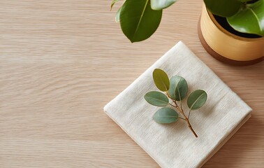 Eucalyptus Branch on Square White Coaster on Wooden Table