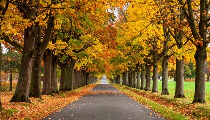 Naklejka premium tree-lined avenue of beautiful fall foliage
