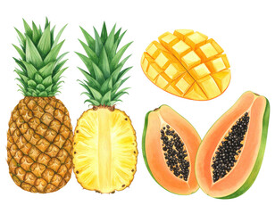 Watercolor tropical fruits illustration featuring whole and sliced pineapple, mango, and papaya with vibrant colors