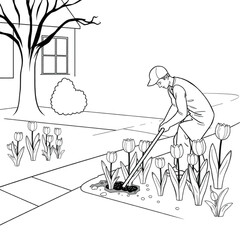 A gardener planting tulip bulbs along the driveway
