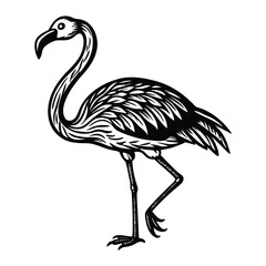 Obraz premium Flamingo vector illustration featuring a graceful flamingo