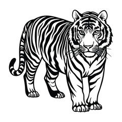 Sleek tiger vector illustration on a white background capturing its powerful essence