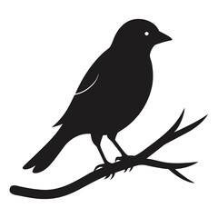 Bird sitting on branch silhouette vector