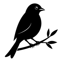 Bird sitting on branch silhouette vector