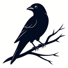 Bird sitting on branch silhouette vector