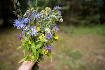 close-up of a diverse wildflower bouquet with blue, yellow, and white blooms, held outdoors against a soft-focus natural background of green foliage in a peaceful meadow setting, woodland, gathered