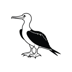 Obraz premium a frigatebird bird line art silhouette vector illustration on white background