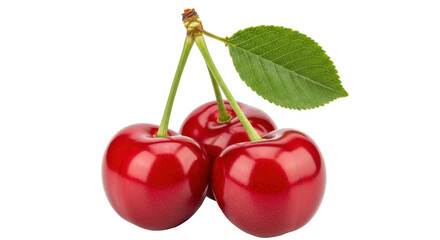 Isolated Three Cherries on White Background