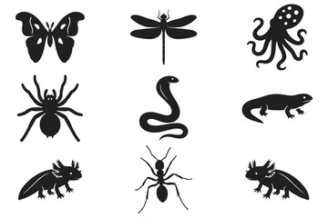 Insect and Amphibian Silhouette Icon Set, Spider, Butterfly, Octopus, Snake, Axolotl, Dragonfly, Ant Vector Collection