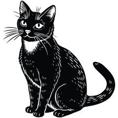 A vector illustration of a black cat, a black and white cat graphic