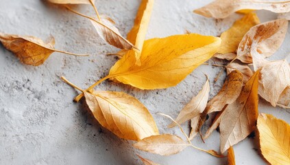 The fallen leaves of autumn, scattered across the ground, form a colorful seasonal display, marked by the golden, brown, and orange shades of the foliage, which herald the arrival of fall and