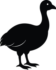 Dodo Silhouette Vector Art Illustration