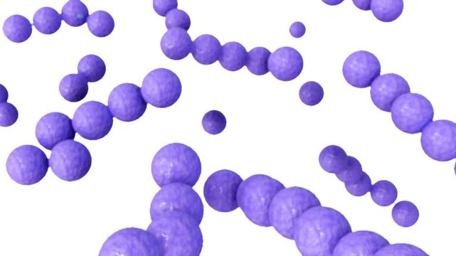 3d animation of streptococcus in the white background. They are non-sporing cocci that tend to link in chains.