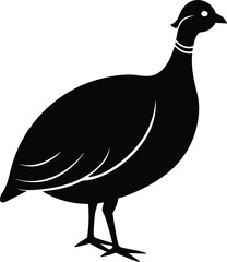 Guinea fowl bird silhouette vector art illustration