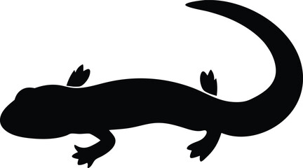 Hellbender salamander amphibian silhouette vector art illustration