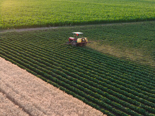 Traktor in the agriculture soy fields in summer sunset