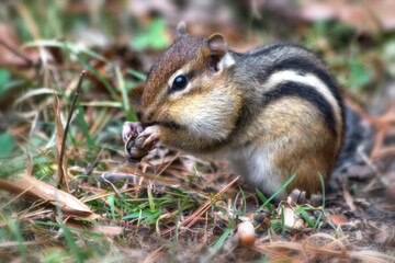 Snack Time