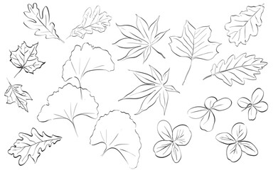 Abstract art background vector. Autumn brown outline doodle set with leaves. Monochrome botanical contour stickers. Vector clipart of sketchy drawings isolated on white background line art flower and 