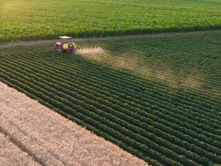 Traktor in the agriculture soy fields in summer sunset