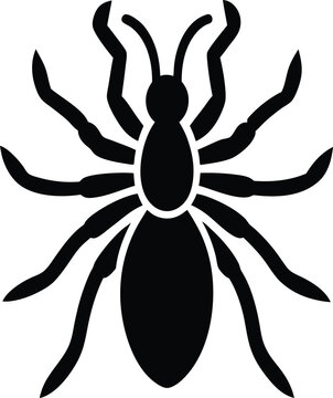Solifugae arachnid creature silhouette vector art illustration