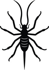 Whip scorpion arachnid insect silhouette vector art illustration