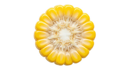 Isolated Cartoon Corn