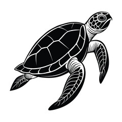 Turtle vector illustration with vibrant colors and intricate details