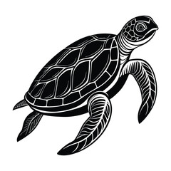 Fototapeta premium Vector illustration of a turtle swimming in the ocean